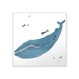 CafePress Blue Whale Sticker Square Bumper Sticker Car Decal