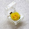 Rosa Eterna De Flores Conservadas Con Caja De Regalo Para