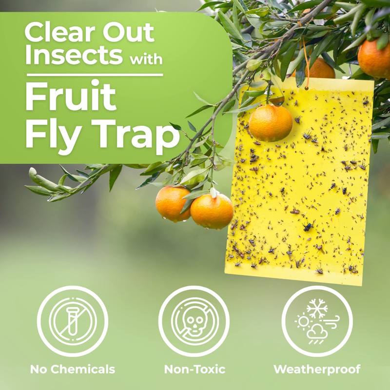 Fruit Fly Trap (20 Pack), Double-Sided Yellow Sticky Traps (Indoor