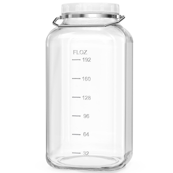 Folinstall 2 Gallon Large Glass Jar with Lid, Wide Mouth