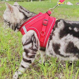 Puppy Harness and Leash Set, Escape Proof Dog Cat Vest Harness for Cats Small Medium Dogs, Adjustable Reflective Step in Harness,Soft Mesh Comfort Fit No Pull No Choke (Medium(13.7"-15.7"), Red)