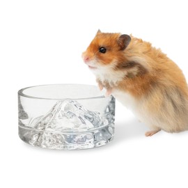 BNOSDM Hamster Food and Water Bowl Mountain Fuji Style Glass Drinking Dwarf Hamster Feeder Anti-Turning Dish for Syrian Hamsters Gerbils Mice Rats or Other Similar-Sized Pets (Colorful)