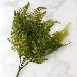 Factory Direct Craft Fern Bush-(3 Bushes) Softly Flocked Vinyl Fern Has a Mossy Outdoor Look for Realism. The Natural Green Coloring Makes Them Perfect for Centerpieces, or Rearrangement of Florals