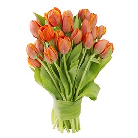 KaBloom PRIME NEXT DAY DELIVERY - Mother’s Day Collection - Bouquet of 20 Orange Tulips| Gift for Birthday, Sympathy, Anniversary, Get Well, Thank You, Valentine, Mother’s Day Fresh Flowers