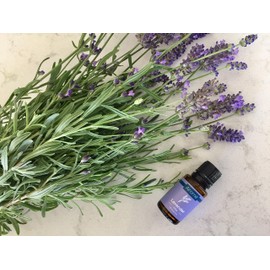 Airomé Certified 100% Pure Therapeutic Grade, Ethically-Sourced, Non-GMO Essential Oil | 15 mL Amber Glass Bottle, Lavender (Lavandula Angustifolia)