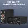 Nobsound 100 W Full Frequency Mono Channel Digital Power Amplifier