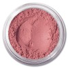 Lure Minerals Foundation Loose Powder 8g Sifter Jar- Choose Color,free