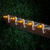 Novelty Lights 5 Pack C9 LED Outdoor String Light Patio