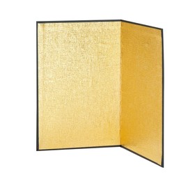 Tokyodo XJ001023-zzz Mini Gold Folding Screen, W 7.9 x H 5.9 inches (20 x 15 cm), Pack of 2