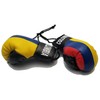 BUNFIREs Colombia Colombian Flag Mini Banner Boxing Gloves Rear View