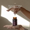 Suplemento Para Rutina Digestiva DUO FRI TIBA SALUD