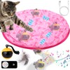 Mity Rain Cat Interactive Toys for Indoor Cats, Self Rolling