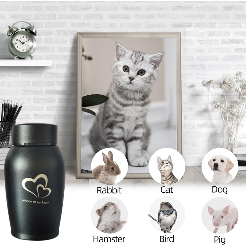 QESSUVNC Ashes Keepsake Urns - Small, Stainless Steel, Waterproof Cat
