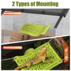Bearded Dragon Hammock,Reptile Climbing Arboreal Cradle with Suction Cups for