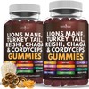 NEW AGE NEW AGE Mushroom Lion's Mane Supplement Gummies -