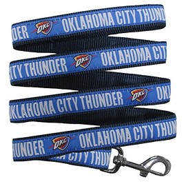 Pets First OKC Leash, Medium