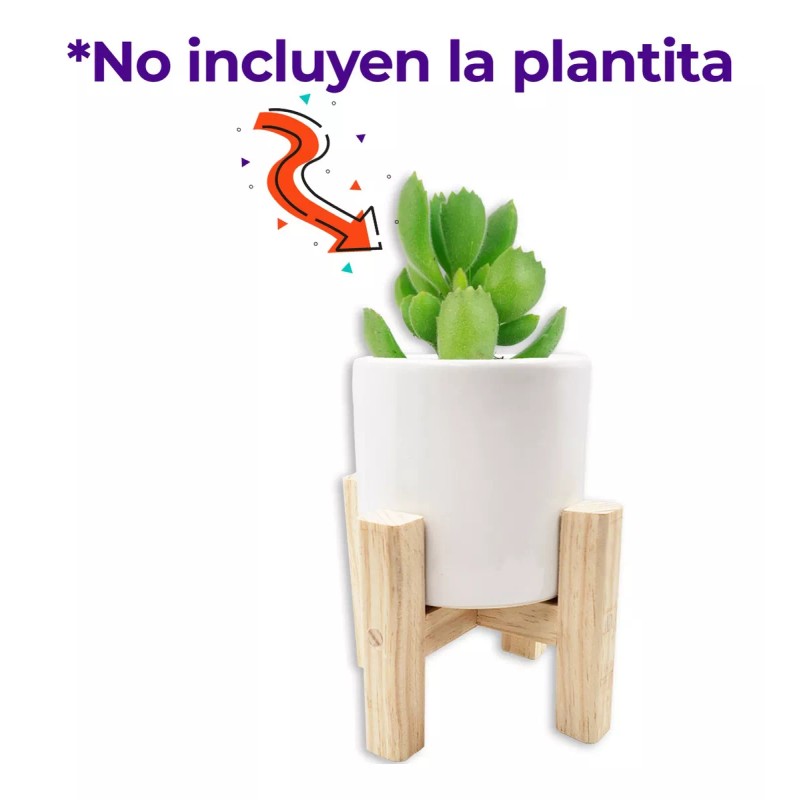 Muna Maceta Blanca De Cerámica Con Base De Madera Minimalista