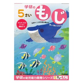 Gakken Staefl N04807 Infant Educational Materials for 5 Years Old Work