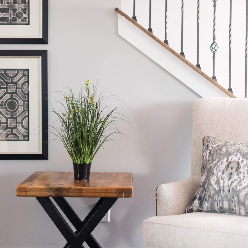 Vickerman TN171224 Everyday Grass Plant