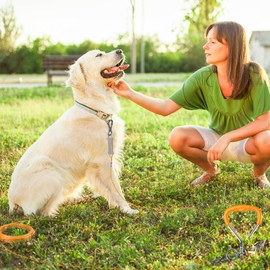 XiaZ Dog Tie Out Cable and Stake, 50 FT Chain with Swivel Hook and Shock Absorbing Spring, Lead for Yard, Outdoor and Camping, Up to 125 LBS