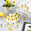 60 Pcs Mini Graduation Ducks,Tiny Resin Grad Ducks Figures Bulk