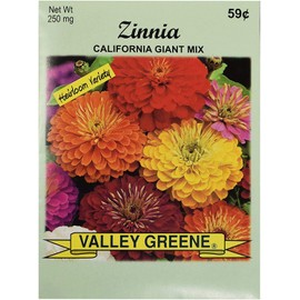 Set of Flower Seed Packets! Flower Seeds in Bulk - Great for Creating The Garden of Your Dreams! (200, Zinnia - California Mix)