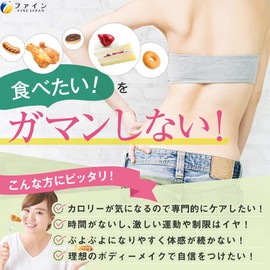 【福袋】ファイン カロリー気にならない 糖質専用 + 脂質専用 セット ベジカプセル