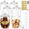 FALUCKYY 6 PCS Plastic Candy Jars with Lids, 2.2L 74oz