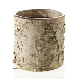 Accent Birch Cylinder Vase Rustic Wedding Decorations - 5.5" Tall