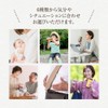 Yae Nadeshiko Rooibos Tea x 16 Types of Japanese Tea