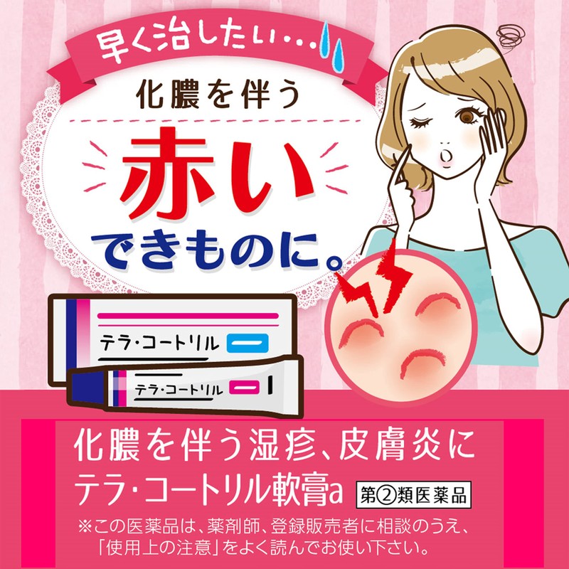 【指定第2類医薬品】テラ・コートリル軟膏a 6g