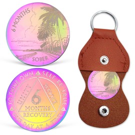 6 Months Sobriety Chip Colorful AA Coin Recovery Medallions One Day at A Time Sober Token Six Months Sobriety Gifts for Men Women Alcoholics Anonymous Gifts