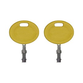 A.A Ignition Keys Replacement for MTD Cub Cadet Troy Bilt Mower 725-2054, 925-2054A, 625-05000 (2)