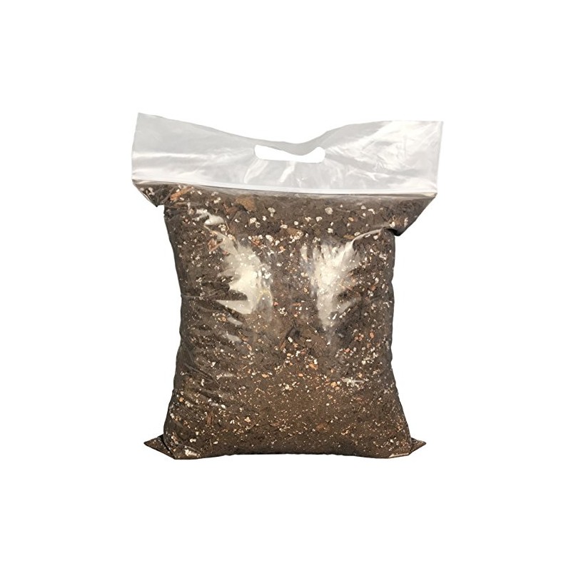 Cymbidium Imperial Orchid Mix (Standard Bag)