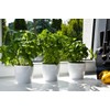 Tymar Pack of 2 Round Shape Planter (White, Diameter 16