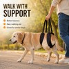Adjustable Dog Rear Leg Lift Harness – Padded Hind Leg