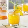 FixtureDisplays Monin Premium Candied Orange Flavoring / Fruit Syrup 544SYPAR087A