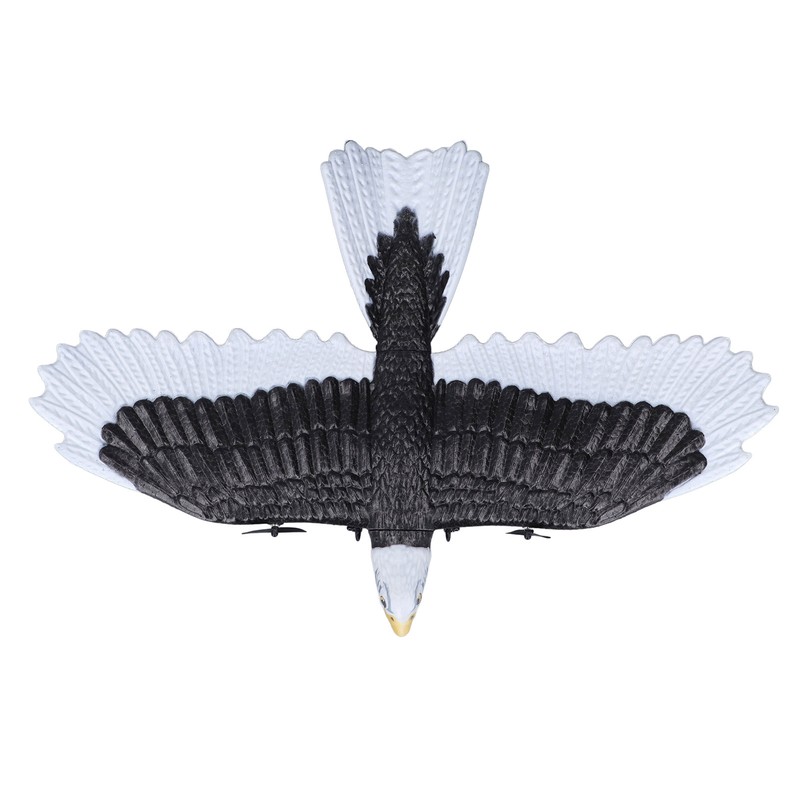 Bird Plane Toy 2 Channels Broken Resistant Remote Control Bird