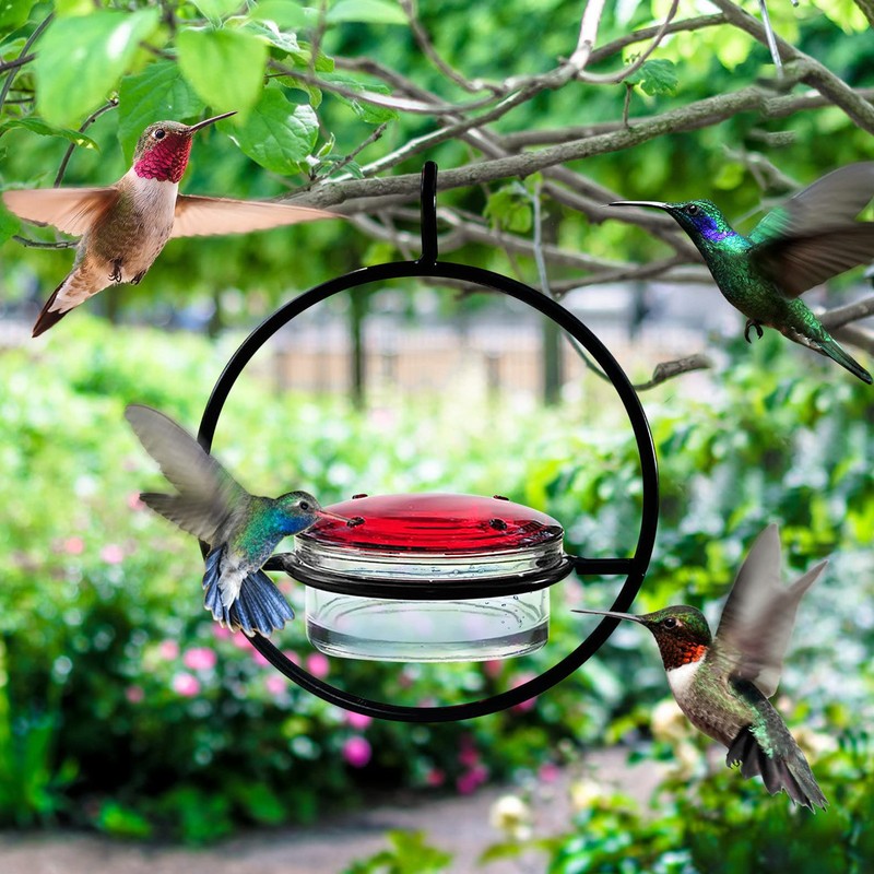 3 Pcs Hummingbird Feeder Metal Hanging Bird Feeder for Outdoor