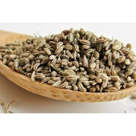Ajwain (Trachyspermum ammi or Carum copticum) Carom seeds HEIRLOOM 300+ Seeds 100% Organic Non GMO Grown in USA