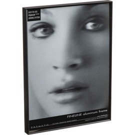 Fineline Picture Frame Color: Black, Size: 18" x 24" Frame/None Mat