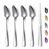 HOMQUEN Grapefruit Spoons 5 Pieces Set, 4 Stainless Steel Spoon