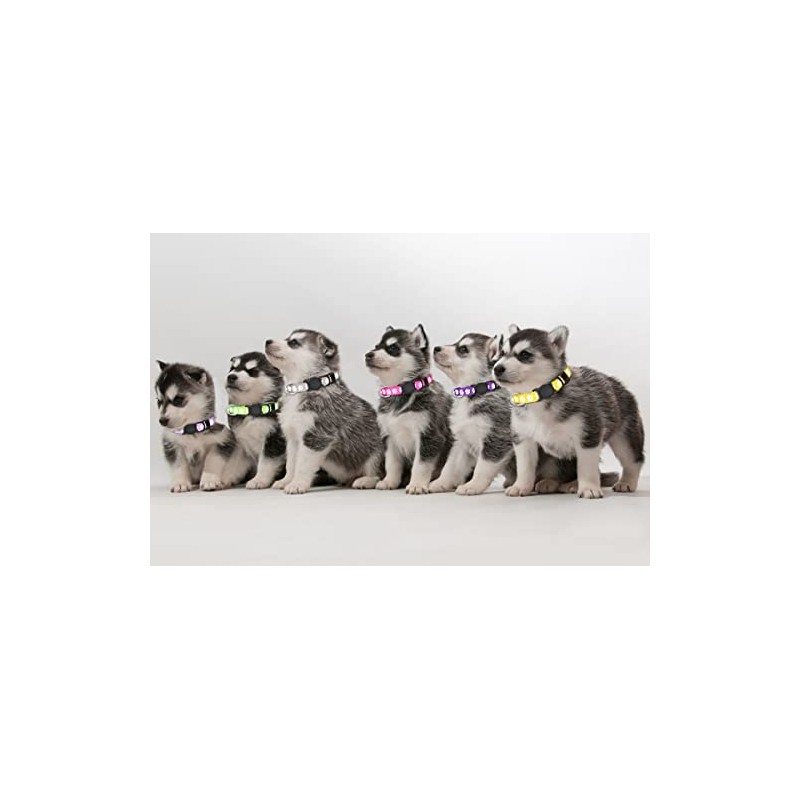 Paquete de 16 collares para cachorros, collares para cachorros, para