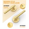 Asidrama 1 Pack Brushed Gold Privacy Door Knob or Lever