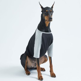 Lucky Petter Dog Cotton Shirts for Small and Large Dogs Raglan T-shirts soft breathable Dog Shirt pet clothes (3X-Large, Black/Gray)