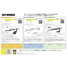 Daiwa SLP Works BB Line Roller Kit S
