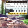 Graiger Perm Elastic Band Hair Mask Multipurpose Latex Rubber Gloves M Black 15pcs / 그레이거 파마고무줄 헤어마스크 다목적 라텍스 고무장갑 M 블랙 15개