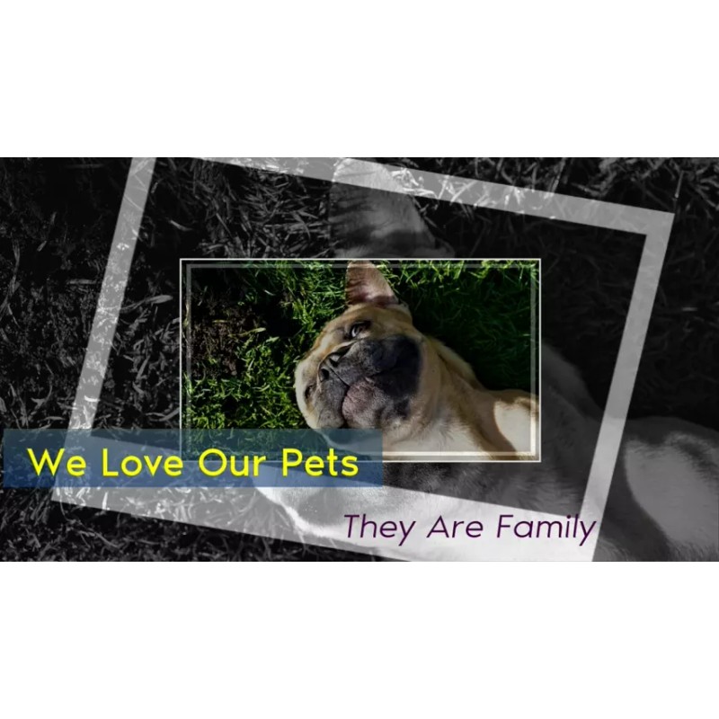 Zone Protects Bad Dog Training Bundle; Chewing and Digging Prevention,