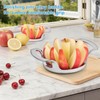 Apple Slicer and Corer 12 Stainless Steel Blades Zinc Alloy
