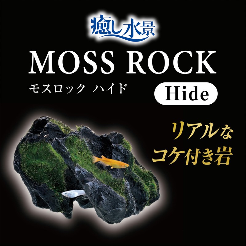 Healing Water Scenery Moss Rock Hide